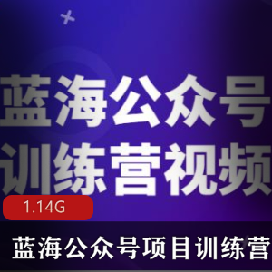 （蓝海公众号项目训练营）视频教程