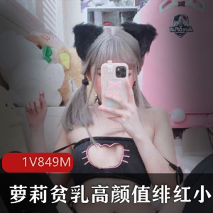 绯红小猫妹子高颜值合集