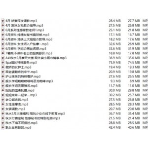 最新A失眠R音声合集