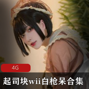 女神FL姬起司块wii魅魔束缚，4G精彩作品，精选身材翘臀