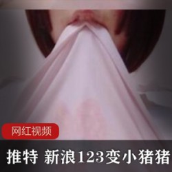 小猪猪某推七部优质合集1.44G纯欲作品